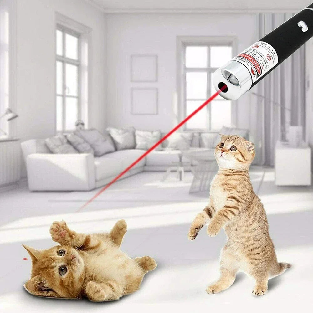 Mini Laser Pointer 2 in 1 for Pets
