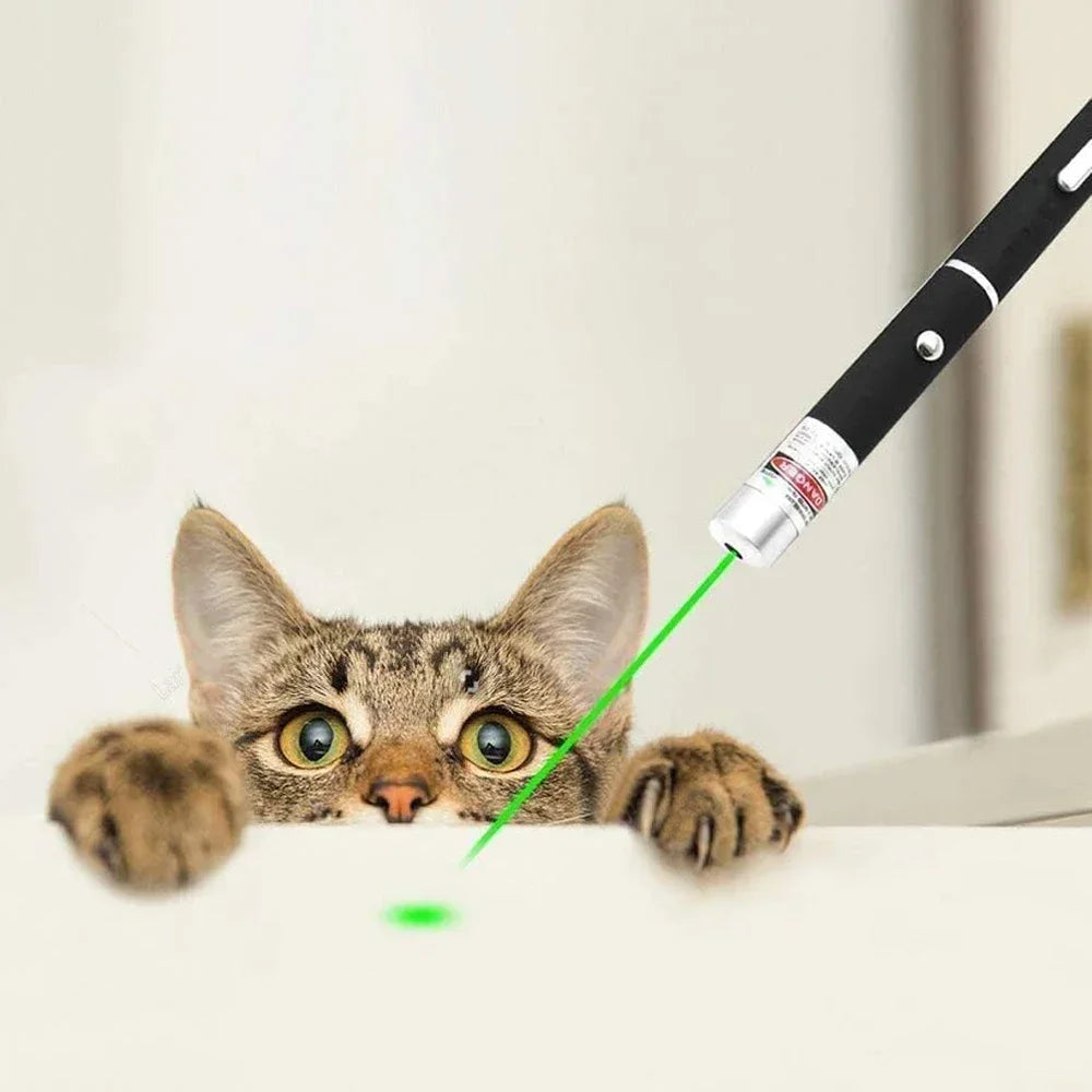 Mini Laser Pointer 2 in 1 for Pets