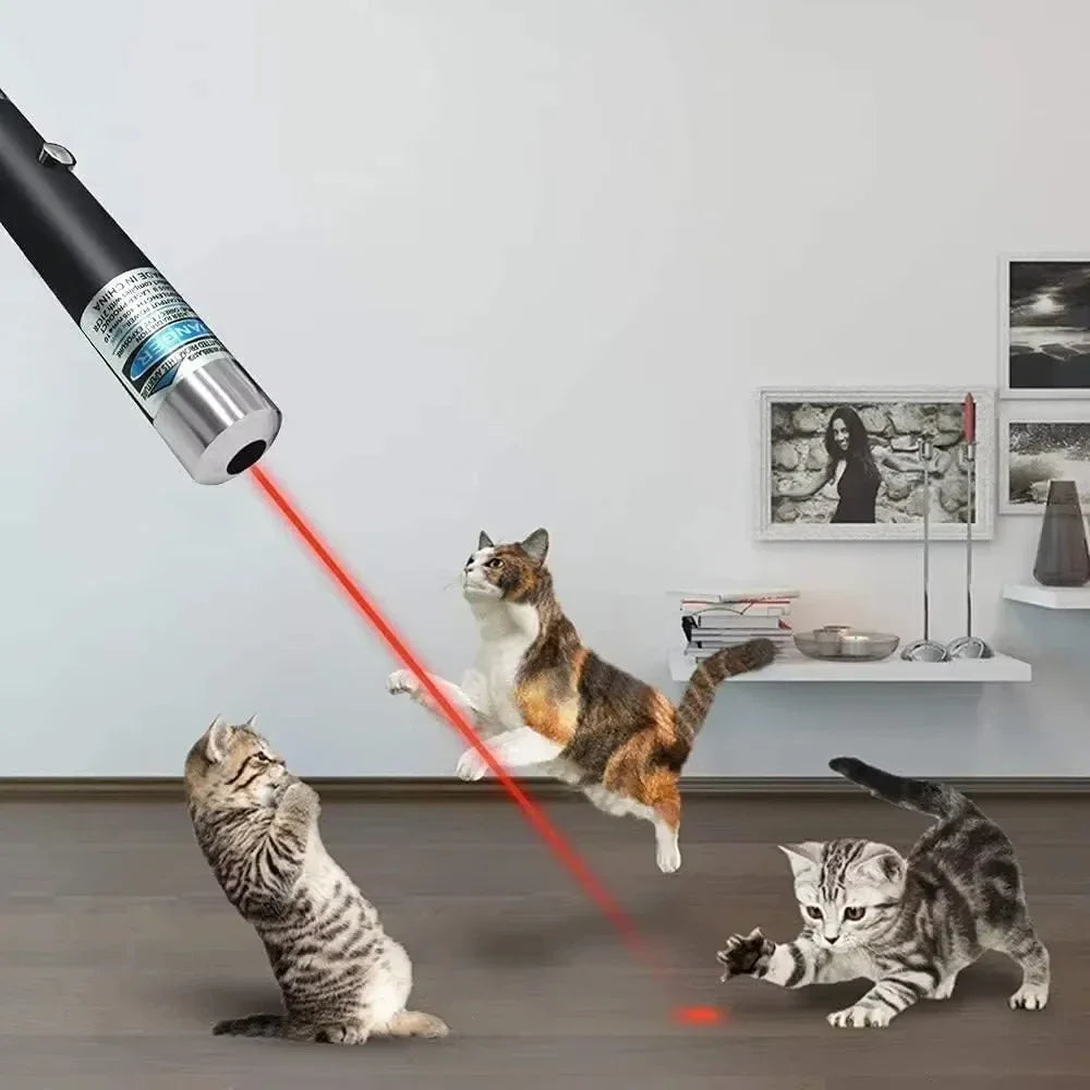 Mini Laser Pointer 2 in 1 for Pets