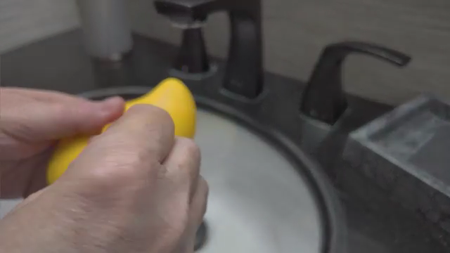 electric misting pet brush
